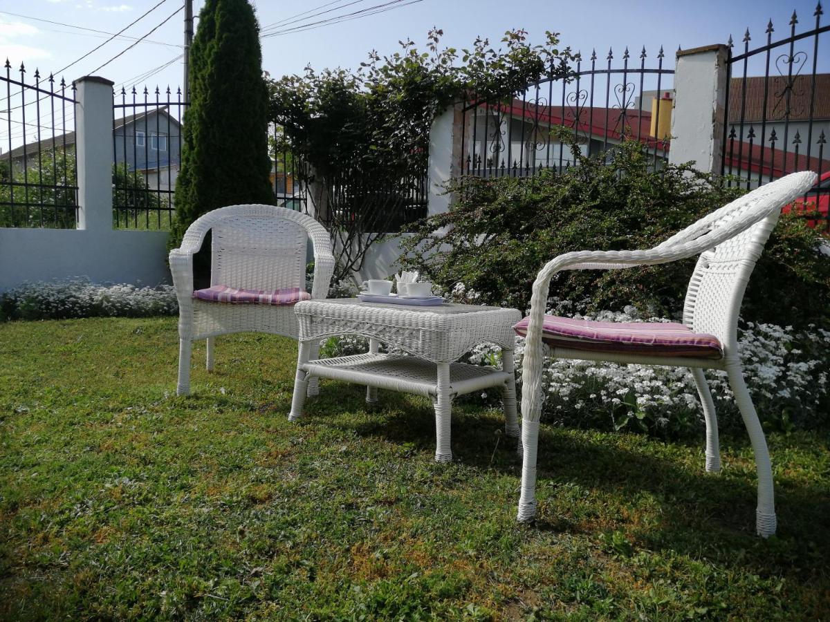 Pensiunea Miraj Costinesti Exterior photo